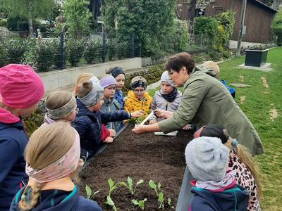 Hochbeete für das Grüne Klassenzimmer Umsetzung Bild