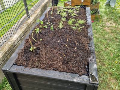 Gesundes Lernen mit Hochbeeten Umsetzung Bild 1