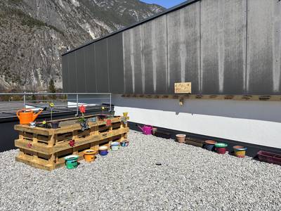 Bee Home, Bee Happy Umsetzung Bild 2