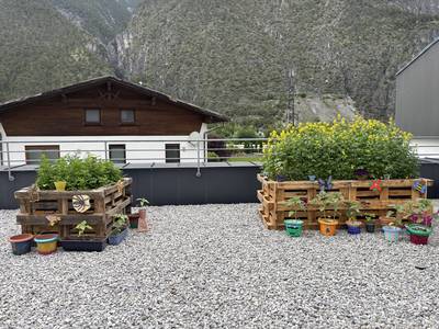 Bee Home, Bee Happy Umsetzung Bild 1