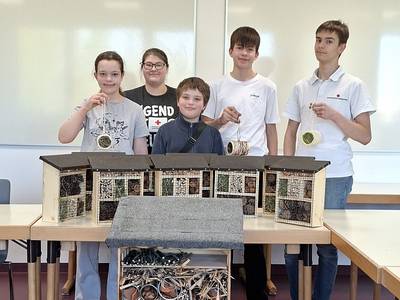 Insektenhotels bauen Gruppenbild