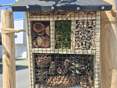 Insektenhotels bauen Bild