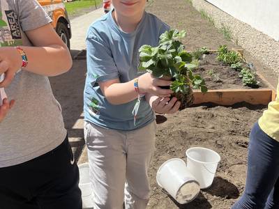 Hochbeete in der VS Ranten Umsetzung Bild 1