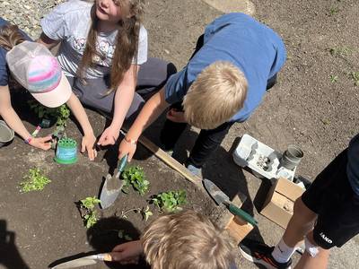 Hochbeete in der VS Ranten Umsetzung Bild 2