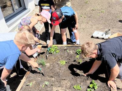 Hochbeete in der VS Ranten Bild