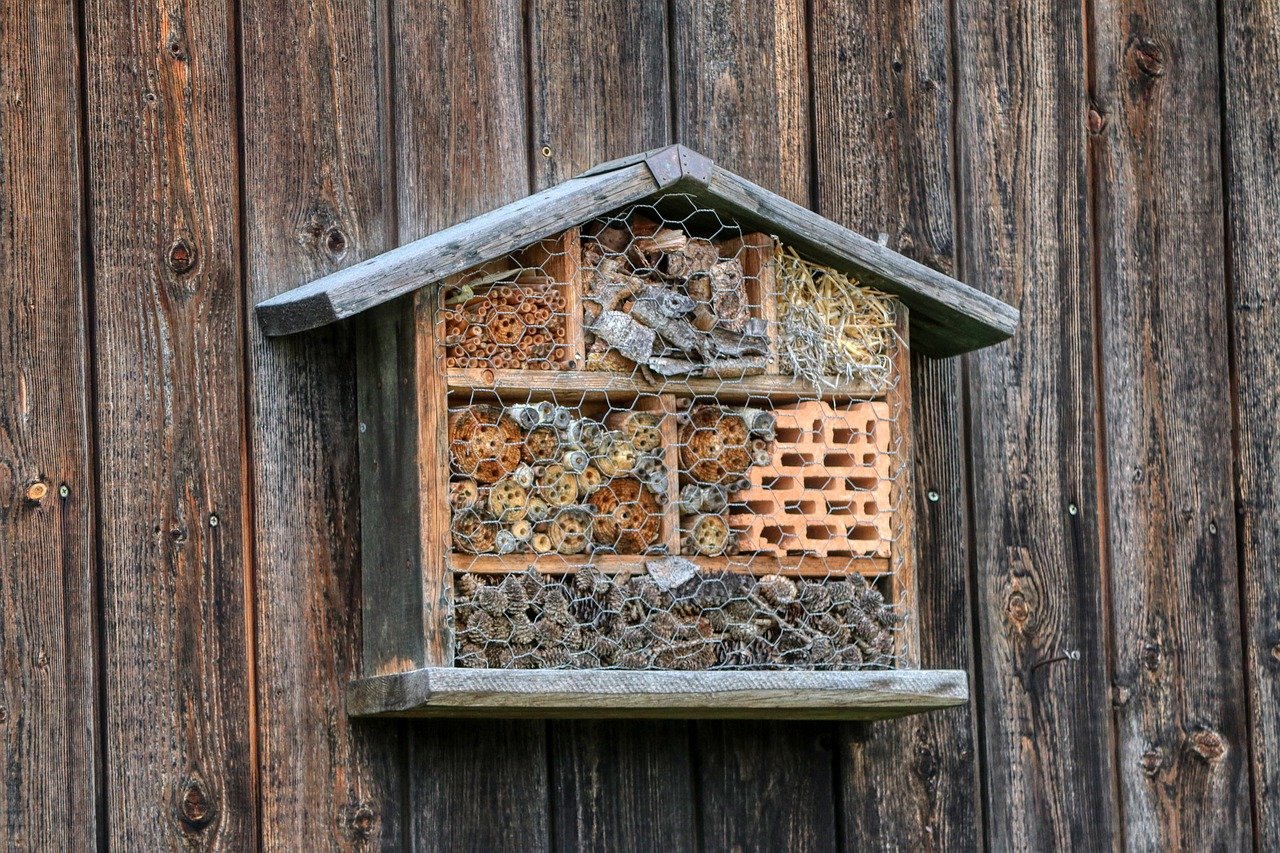 Insektenhotels bauen Projekt Logo